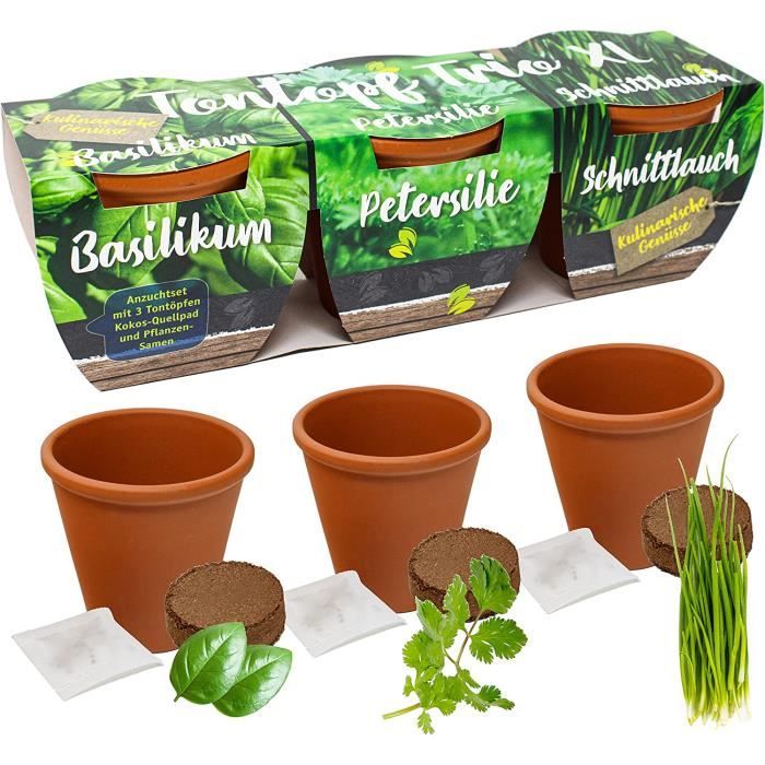 ® 3X Pots en Terre Cuite avec graines et terreau de Culture Serre d