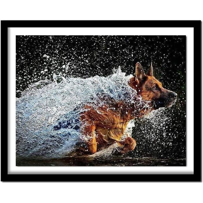 Lot De 9 Kits De Peinture Diaant Paysage Pour Adultes - Kit D'art Diaant Pour Adultes - Kit D