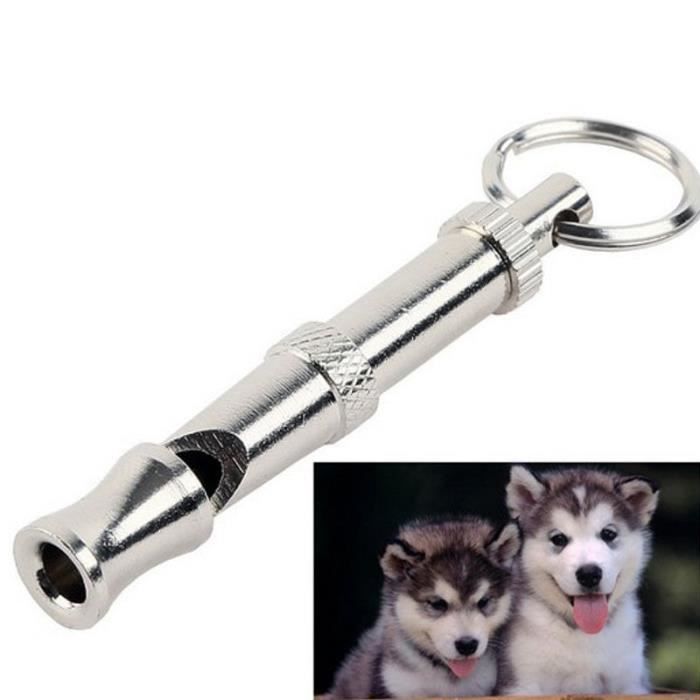 Exercices pour chien,Sifflet à ultrasons pour chien de compagnie Sifflet à ultrasons deux tons, flûte anti aboiement répulsif à son