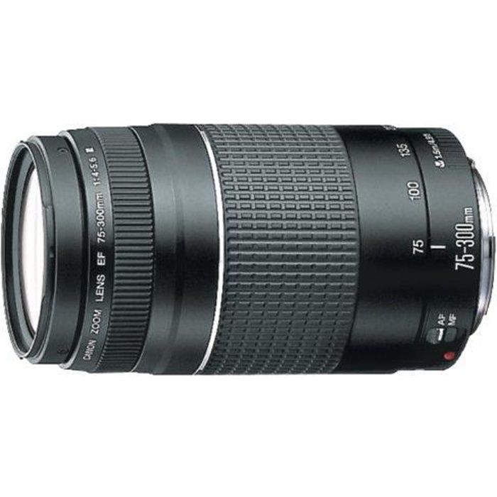lenTélées Canon EF objectif zoom EF75-300mm F4-5.6 III produits d'importation Téléobjectif parallèles-169