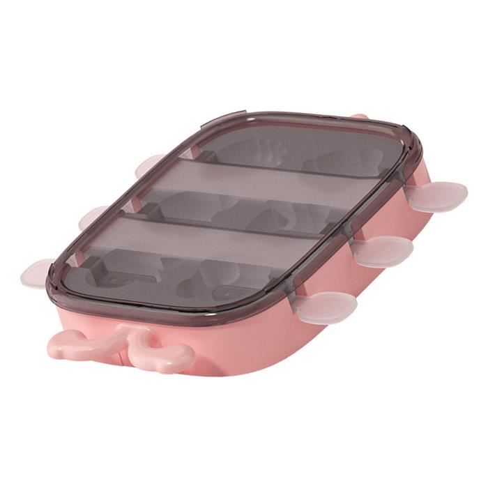 Moule Moule à Glaçons En Silicone Avec Couvercle - Plateau Rond à 6 Glacon Rond
