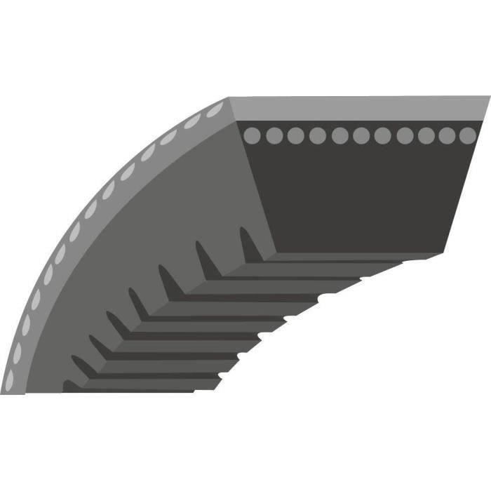 Courroie lisse trapézoïdale qualité d'origine MTD (section 3/8)