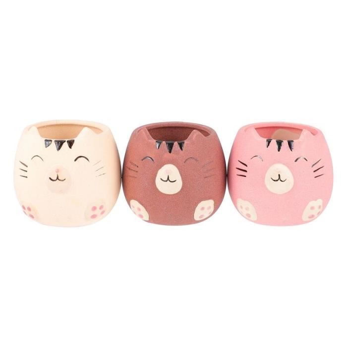 3pcs Pot de Fleurs de Chat en Céramique Plante Succulente de Décor (Style Aléatoire) graine