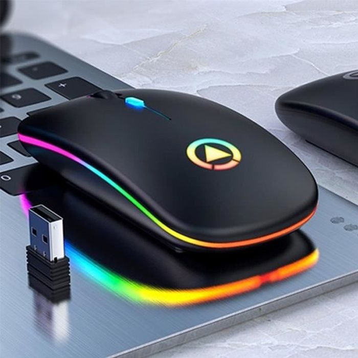 Souris Sans Fil – SURENHAP – Ergonomique – 1600 DPI – 24 GHz – Rechargeable