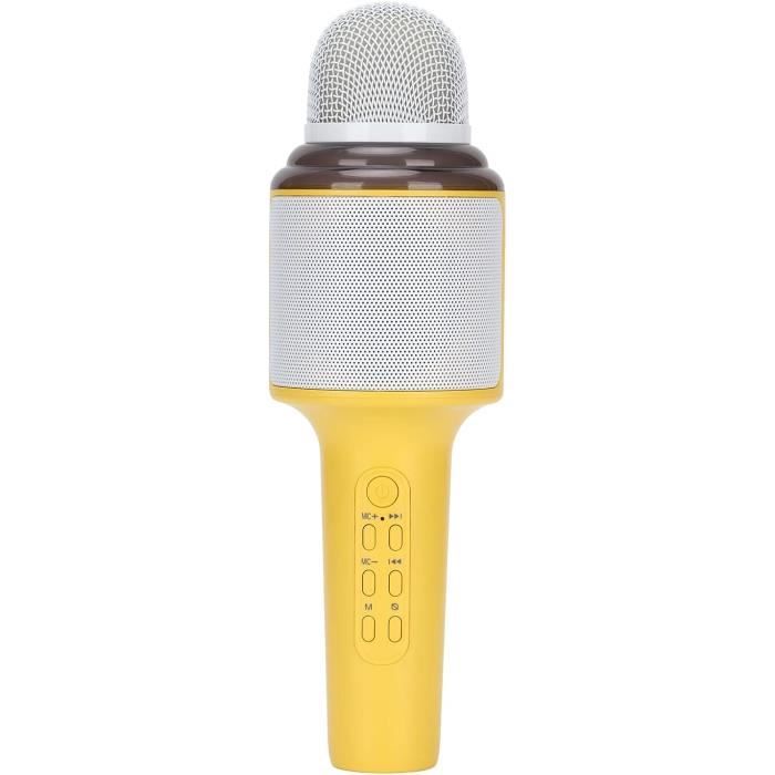 Micro Karaoké Enfant Avec 2 Micros Sans Fil Et Lumières LED – Design Gâteau Mignon, Idéal Pour Anniversaire Et Fêtes