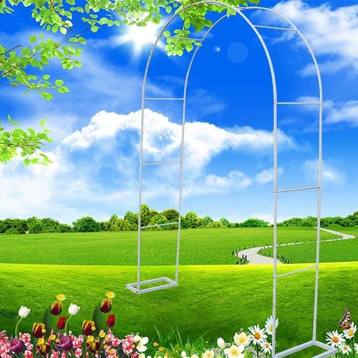 Lot De 2 Tuteurs Plantes Grimpantes En Acrylique - Forme U Et Arc, Support 40cm Pour Intérieur Et Extérieur