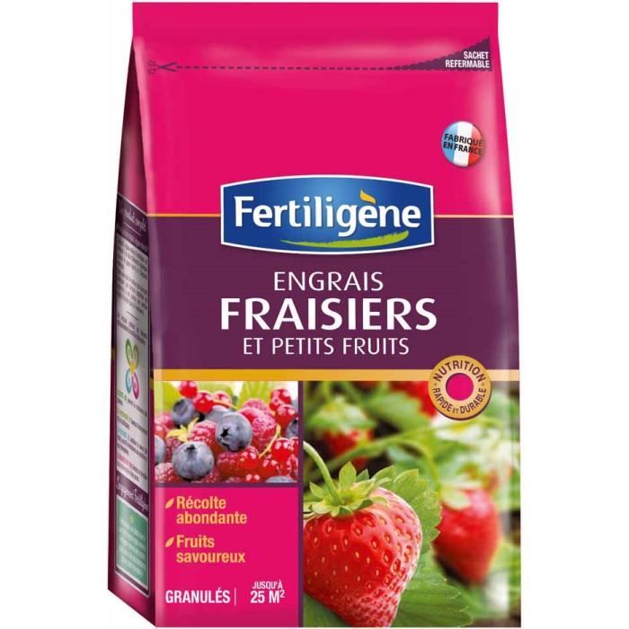 Engrais Special Fraisiers Et Petits Fruits Achat Vente Engrais