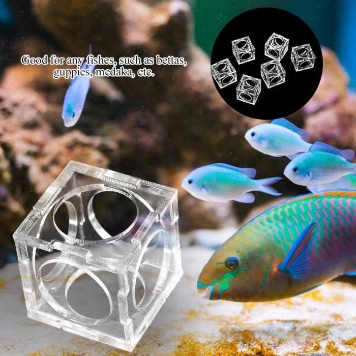 Cachette Pour Crevettes En Céramique - Décor Aquarium, Refuge Pour Poissons Et Crustacés