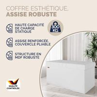 Banc De Rangement Pliable Casaria Noir 115x38x38 Cm - Coffre 131L Avec Assise Rembourrée, Idéal Salon Chambre Tete De Lit 140 Cm