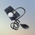 Tensiomètre manuel intelligent avec brassard standard et stéthoscope  ACCESSOIRES BEAUTE - BIEN-ETRE - PIECES BEAUTE - BIEN-ETRE-3
