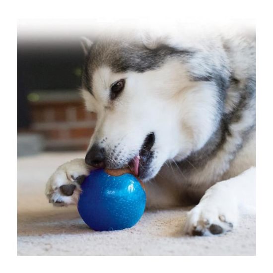 Kong marathon ball cheap