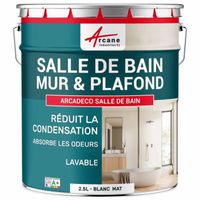 Peinture Salle de Bainpour Mur et Plafond,  Anti Condensation : ARCASCREEN ANTI CONDENSATION  2.5 L - Blanc
