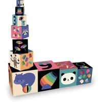 Cubes Gigognes Vilac - Andy Westface - 10 cubes illustrés avec animaux de cirque et objets associés - Dès 2 ans