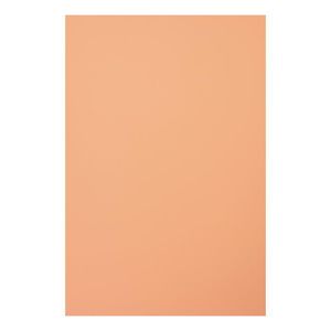 Kit papier créatif Set de papier créatif - folia - papier teinté - 50x70cm Apricot