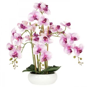 FLEUR ARTIFICIELLE Orchidées artificielles blanches fuchsias 55cm