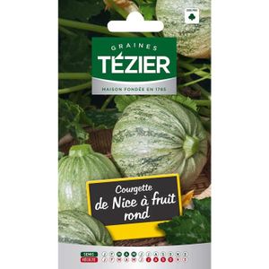 GRAINE - SEMENCE Sachet Graines - Tezier - Courgette de Nice à frui