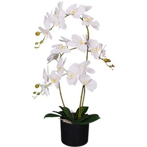 FLEUR ARTIFICIELLE Design Uk Orchidée Artificielle Réaliste En Pot Blanc 65 Cm[r795]