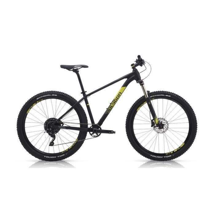 Polygon xtrada 2025 7 2019
