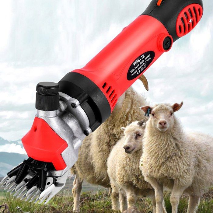 Meilleurs prix pour Cisaille à laine électrique 900 W Tondeuse électrique 6 vitesses réglables tondeuse pour animaux avec étui de transport (rouge)