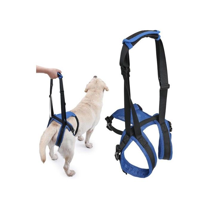 Harnais de Soutien pour ChienHarnais de Jambe Arrière pour Animaux de CompagnieFormation à la Marche de RécupérationBleuS