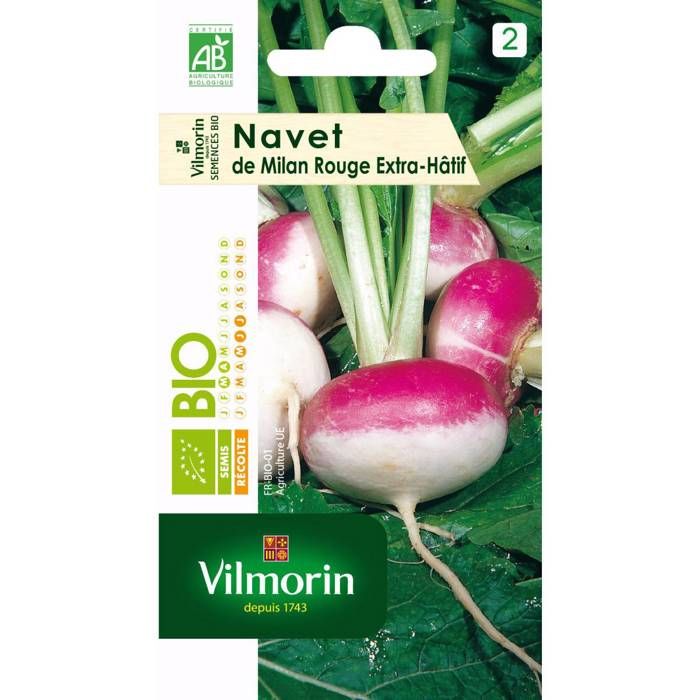 Meilleurs prix pour Sachet graines Navet de milan rouge extra Hatif à chassis BIO-