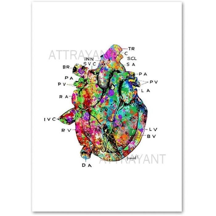 Affiche Anatomique Fleurs Sur Toile - Cerveau Coeur Poumon Art Médical Décoration Murale Sans Cadre