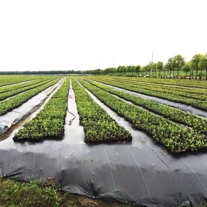 3 Rouleaux de 1 m x 100 m 100 g Mauvaises Herbes Tissu Couvre-sol jardin Membrane Vente 