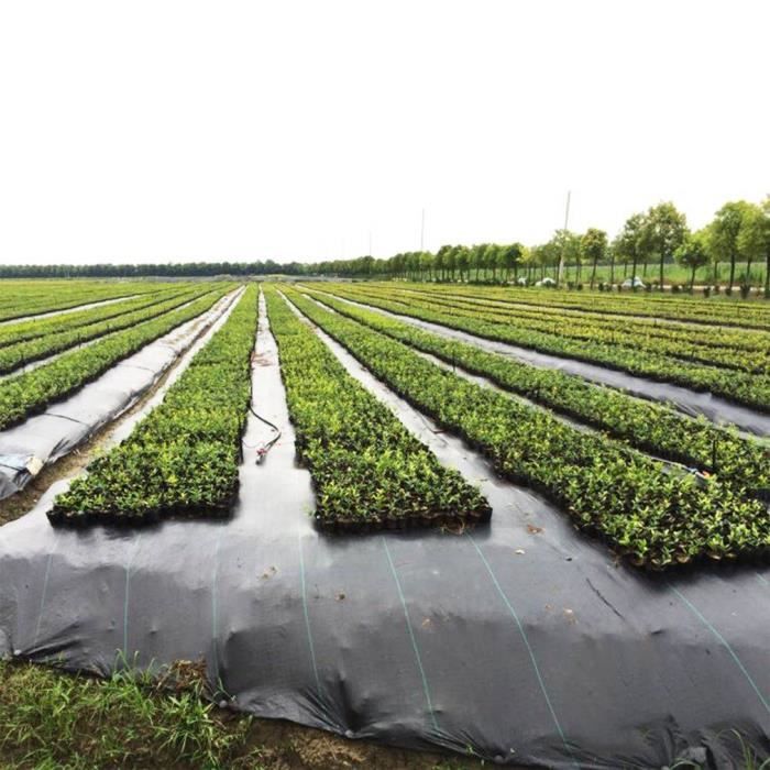 1x100m Tissu Anti Mauvaises Herbes Ultra Resistant De Membrane