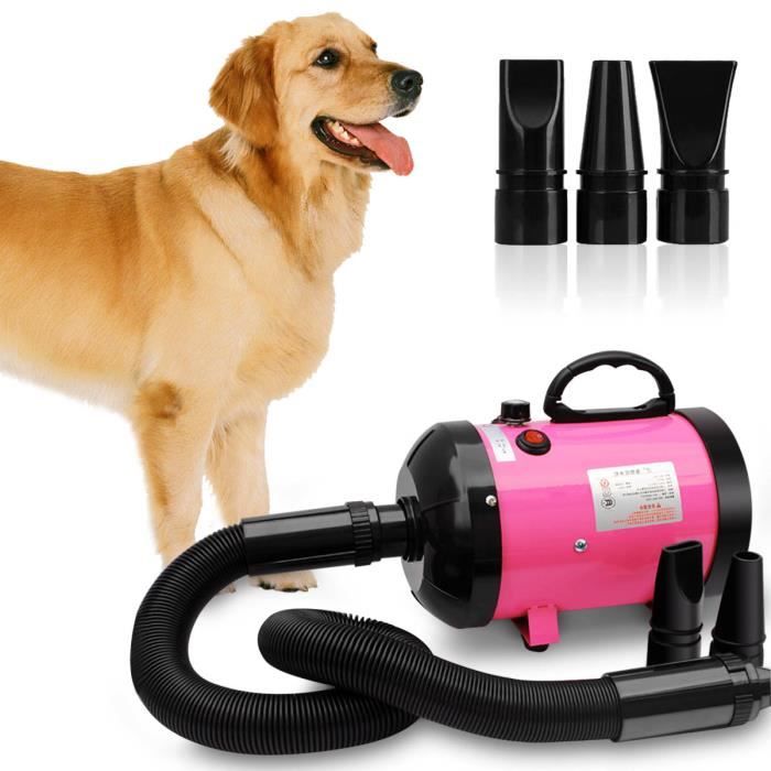 Séchoir Sèche Poils Toilettage Pulseur Pour Chiens Chats Animaux Eu Plug Rose