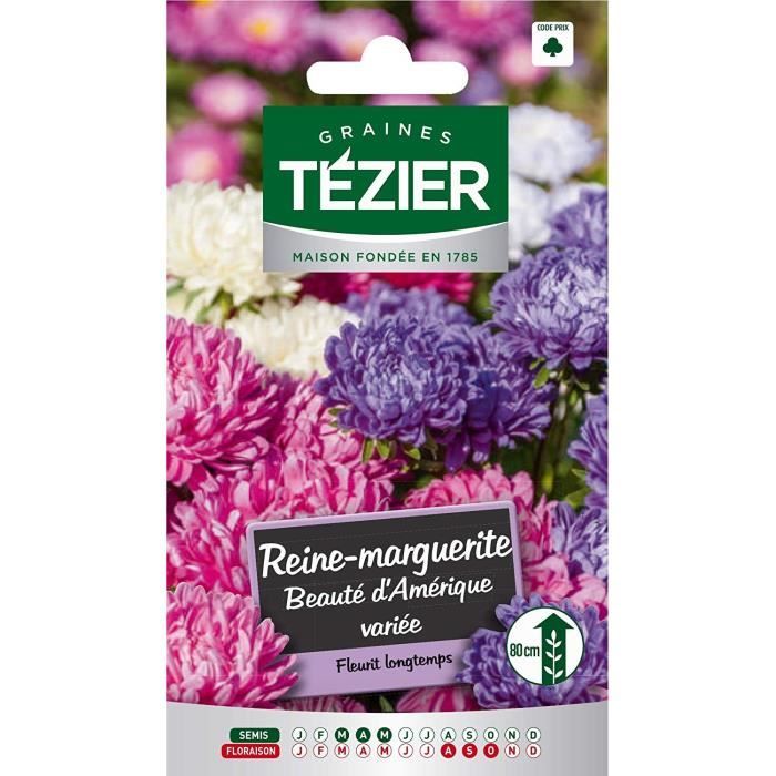 Tezier Reine Marguerite Simple A Fleur Geante Variee Fleurs Annuelles Sachet Fleurs Fleurs Annuelles A Utiliser Sur Cdiscount Maison Tezier Reine Marguerite Simple A Fleur Geante Variee Fleurs Annuelles Sachet Fleurs Fleurs Annuelles A Utiliser Sur Cdiscount Maison
