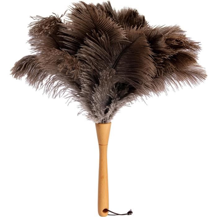 Sitemapcdatahttpwwwinfbizidlampe Plume D Autruchenull