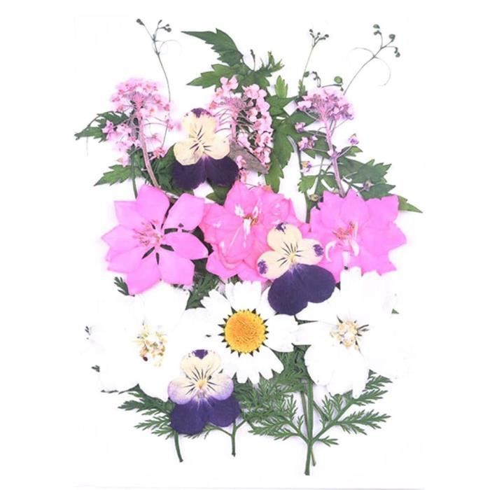 Lyreh Lot De 60 Marque-Pages Transparents Avec Fleurs Séchées - 10 Modèles - DIY