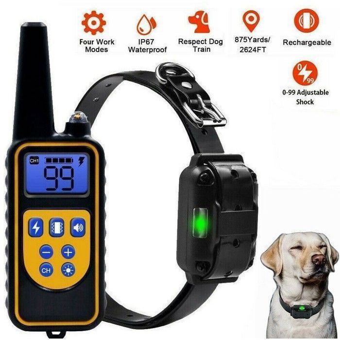 Dog training collar Cdiscount