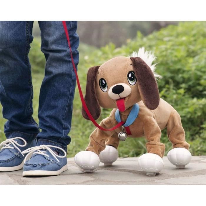Chien toufou on sale pas cher