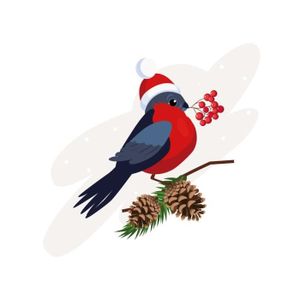 Deco Noel Oiseaux