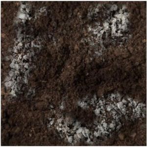 TERREAU - SABLE Terreau substrat pour plantes succulentes - Mélange spécial de tourbe sable et brèche ainante avec pH neutre pour cactacées et s107