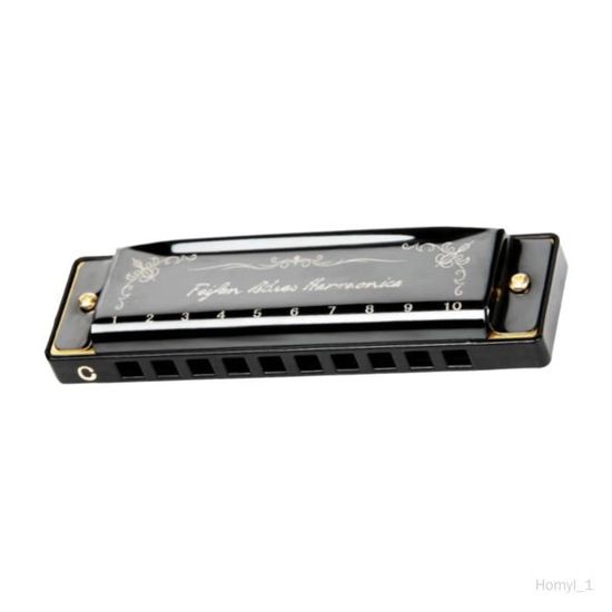 Harmonica COLAXI Jouet pour Enfants Acier Inoxydable Couleur Noir 10 Trous en Do