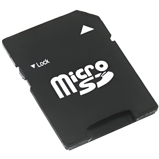 Carte mémoire Micro SD 256 Go 256 Go avec adaptateur pour carte SD (classe  10 de vitesse rapide) Carte mémoire Micro SD TF car[571] - Cdiscount  Appareil Photo