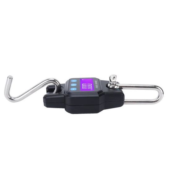WH-C06 Balance Numérique Rechargeable à Suspendre Mini Balance à Grue
