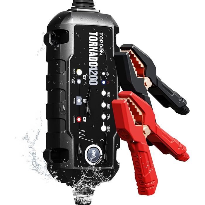 DESULFATEUR DE DESULFATEUR DE BATTERIE ACIDE 12V DE CAMION DE VOITURE DE CAMION 