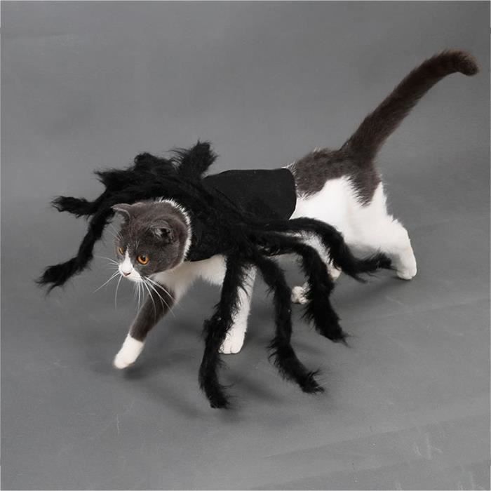 Manteau Blouson,Déguisement d'halloween pour chien chat Robe en forme d'araignée, avec ailes d'araignée, pour chiots - Type S