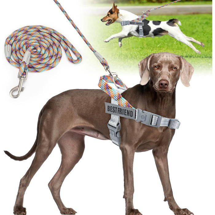 Comparer les prix de Harnais Chien avec Laisse ChienRéfléchissant Harnais Anti Traction pour ChienRéglableFacile à ContrôlerHarnais pour Chien pour