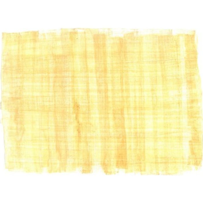 Import Allemagne Papyrus 88026777 PlanoSuperior Paquet de 500 feuilles de papier multifonctions format A4 grammage 80 g/m² Blanc 