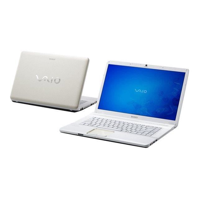 Écran LCD 15.6" Pour Sony VAIO VGN-NW31EF/JF – Dalle Neuve Remplacement