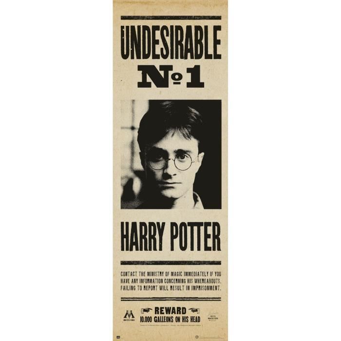 Poster de porte Harry Potter Affiche de recherche Achat Poster de porte Harry Potter Affiche de recherche Achat