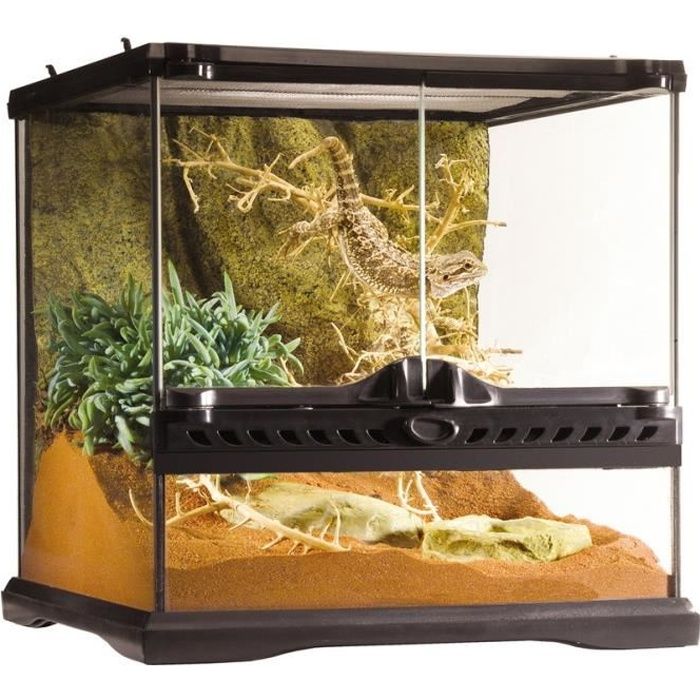 Terrarium 30x30x30cm Exo Terra Achat / Vente vivarium terrarium Terrarium 30x30x30cm Exo