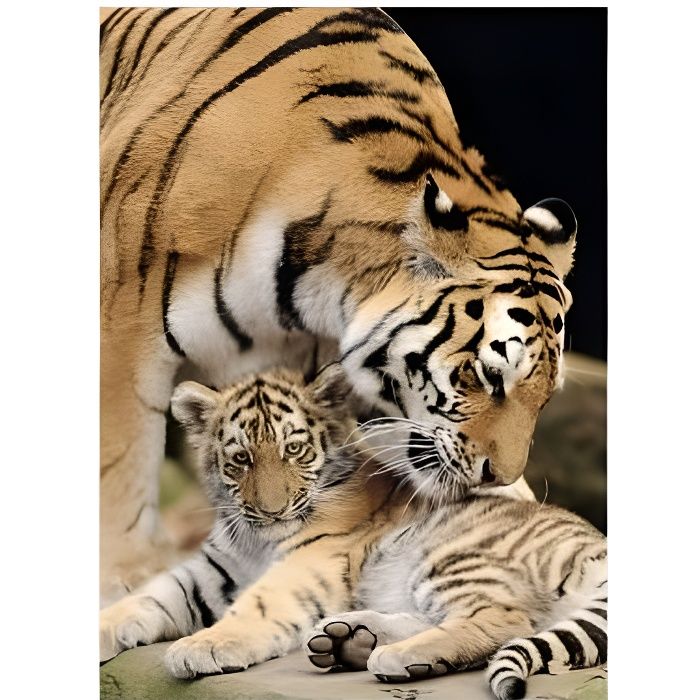 Puzzle Adulte Tigre Et Son Bebe 500 Pieces Animaux Collection Vie Sauvage Cdiscount Jeux Jouets