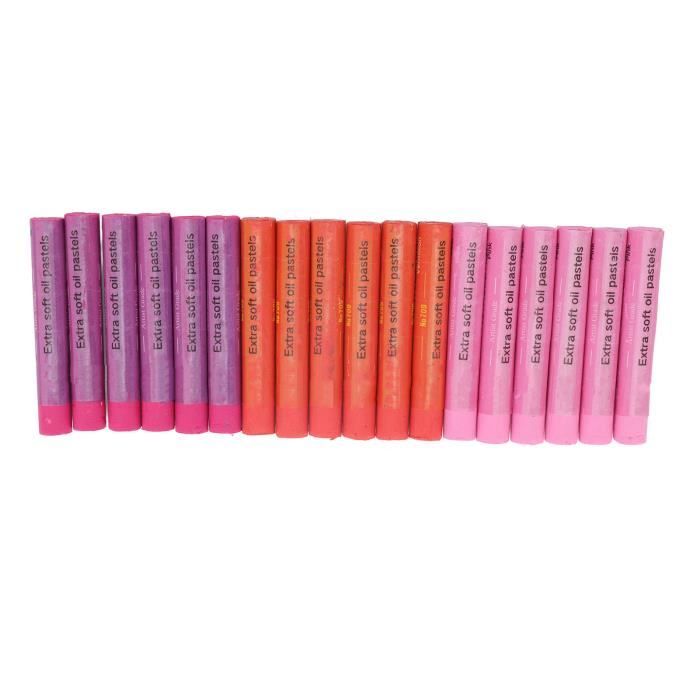 Pastels à L'Huile 24 Couleurs 9 Mm - Boîte Professionnelle Couleurs Vives Et Douces