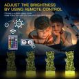 Pat Patrouille Veilleuse 3D pour Enfants,Télécommande16 Couleurs Changement Lampe pour Chambre Décorer Cadeau d'anniversaire Noël-1