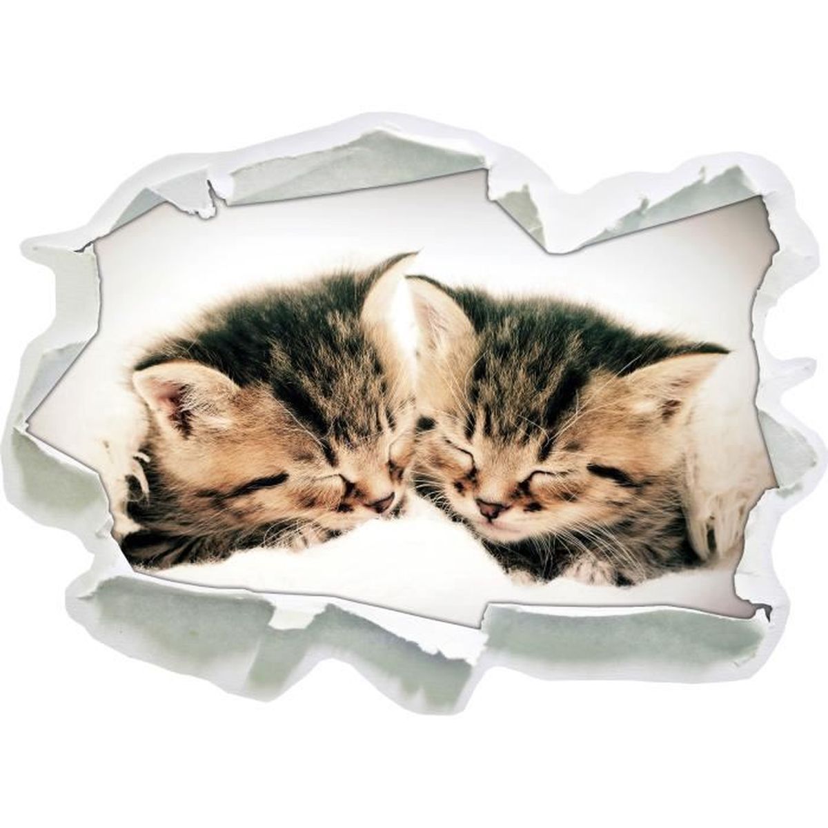Chats En Forme De Coeur Taille Sticker Mural 3d En Papier 62x45 Cm Decoration Murale 3d Stickers Muraux Stickers Muraux Achat Vente Stickers Cdiscount